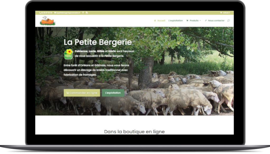 site internet petit bergerie