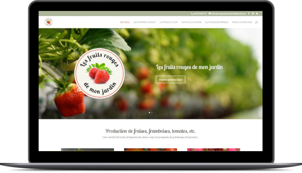 fruits rouges de mon jardin page d'accueil