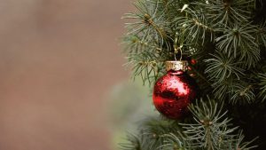 ferme des breteaux sapin-de-noel